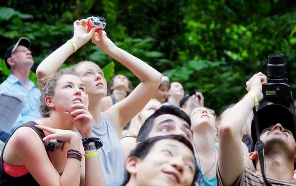 新加坡国立大学申请时间规划表（完整版）