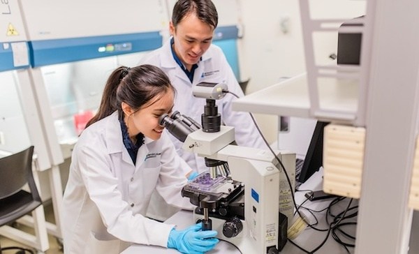 新加坡国立大学留学新加坡值不值？全面分析