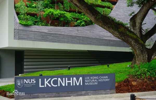 新加坡国立大学位置在哪里