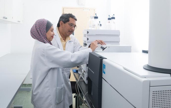 新加坡国立大学计算机专业真实体验与课程难度