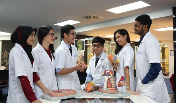 新加坡国立大学计算机专业真实体验与课程难度