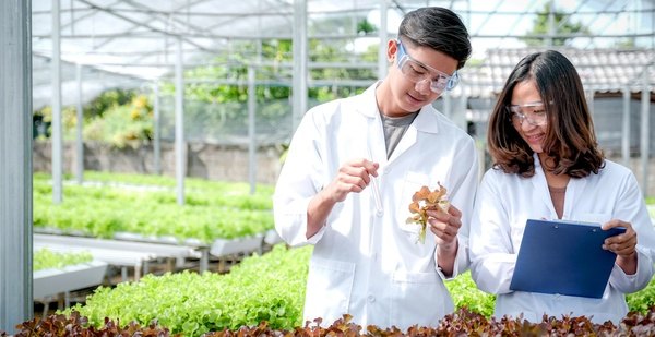 新加坡国立大学奖学金政策最新解读