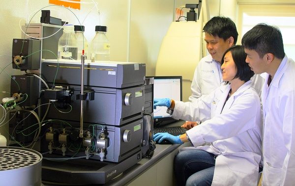 新加坡国立大学入学体检要求