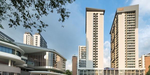 国内考新加坡国立大学要求
