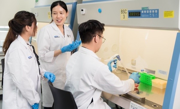 新加坡国立大学怎么样？真实评价汇总